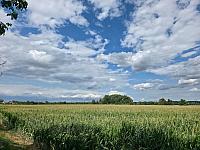 Odrovice
