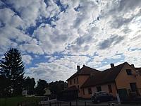 Olešná