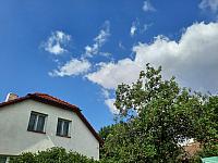 Olešná