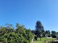Olešná