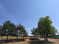 Lukovany