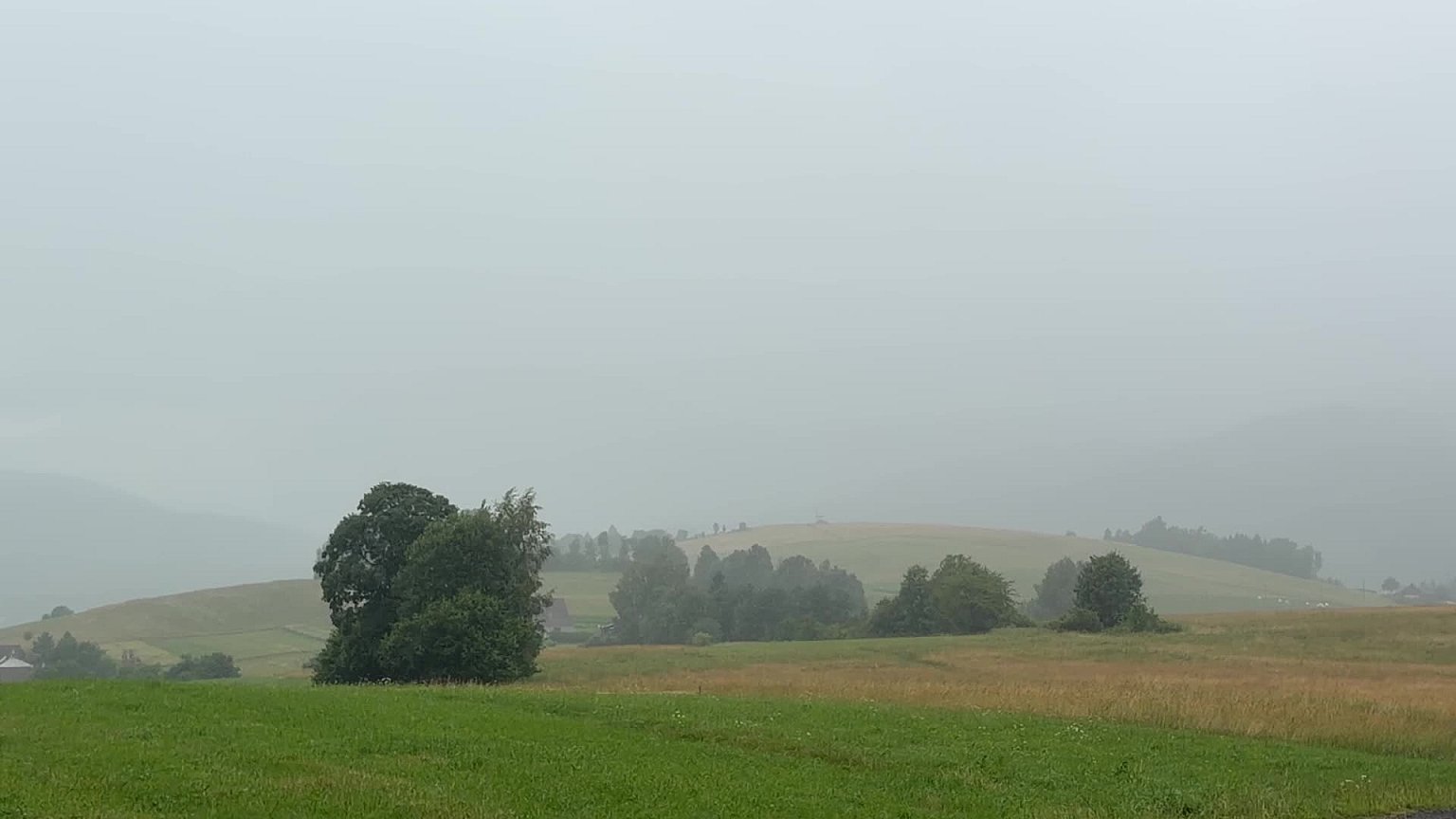 Bukovec