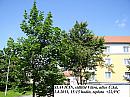 Slavičín, sídliště Vlára