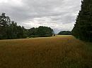 Borkovice