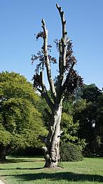 Břeclav