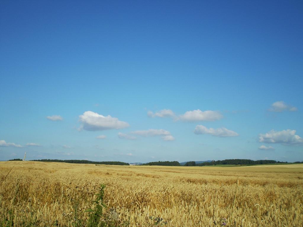 Hostákov