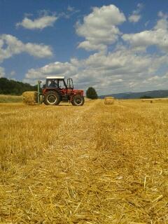 Troubelice