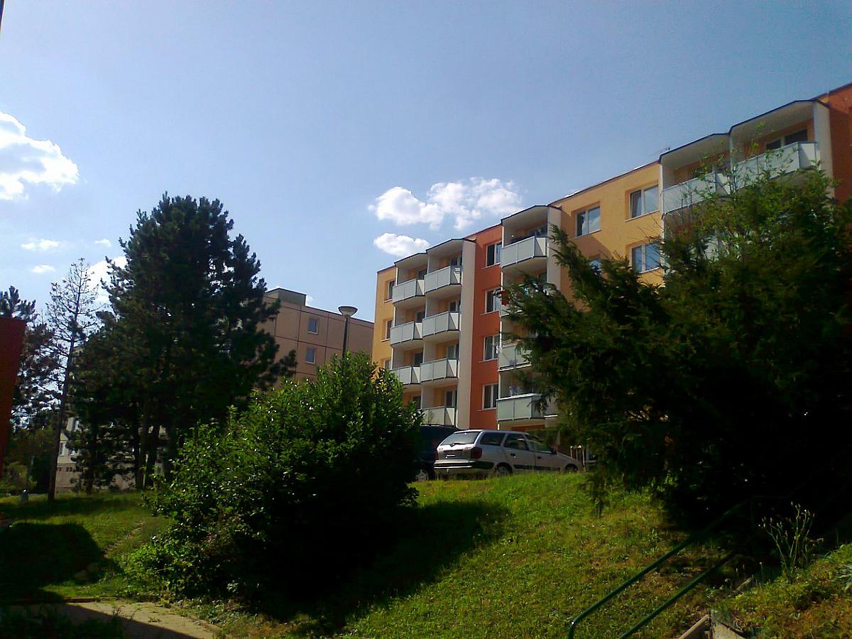 Borovina