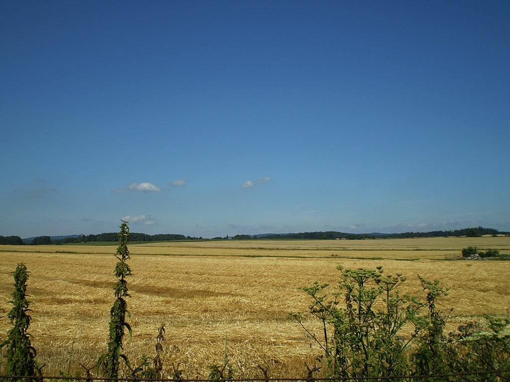Hostákov