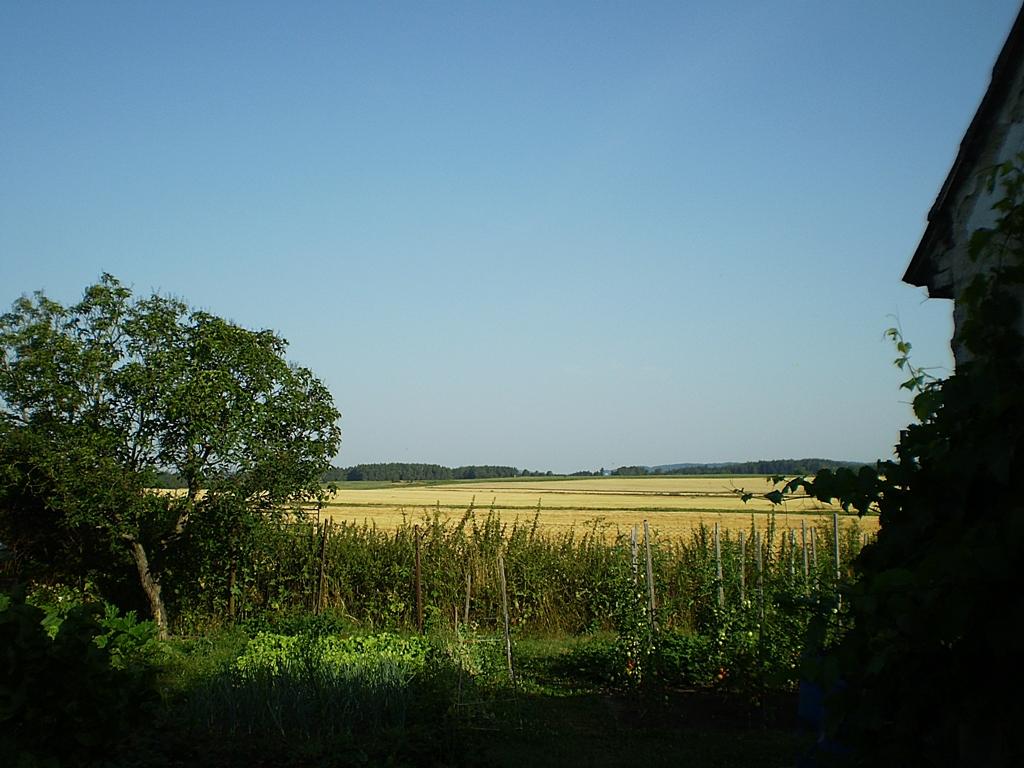 Hostákov