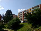Borovina