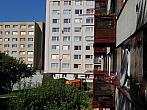 Borovina