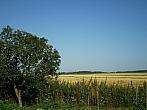 Hostákov