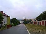 Borovina