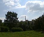 Borovina
