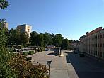 Borovina