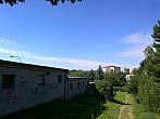 Borovina