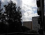 Borovina