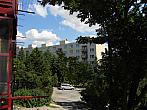 Borovina