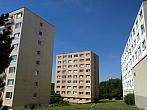 Borovina