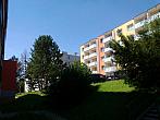 Borovina