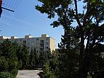 Borovina