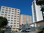Borovina