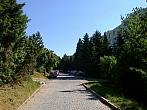 Borovina