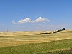 Dobromilice