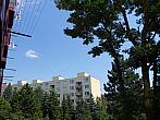 Borovina
