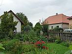 Třibřichy