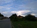 Borovina