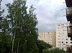 Borovina