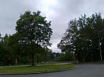 Borovina
