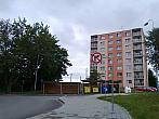 Borovina
