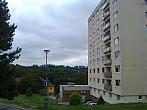 Borovina