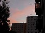 Borovina