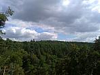 Borovina