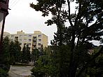 Borovina