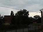 Třibřichy