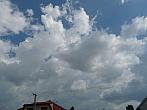 Třibřichy