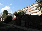 Borovina