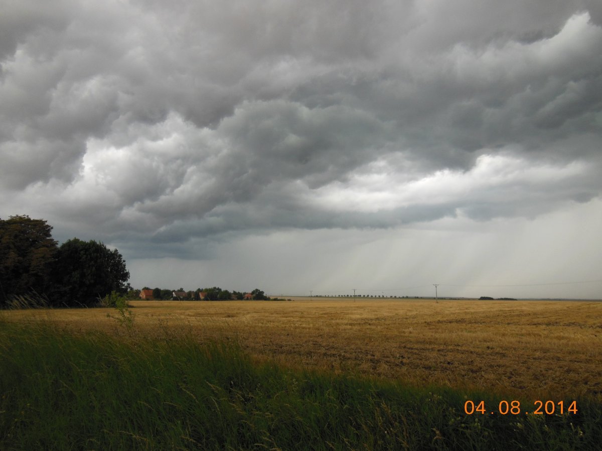 Radešín (Podřipsko)