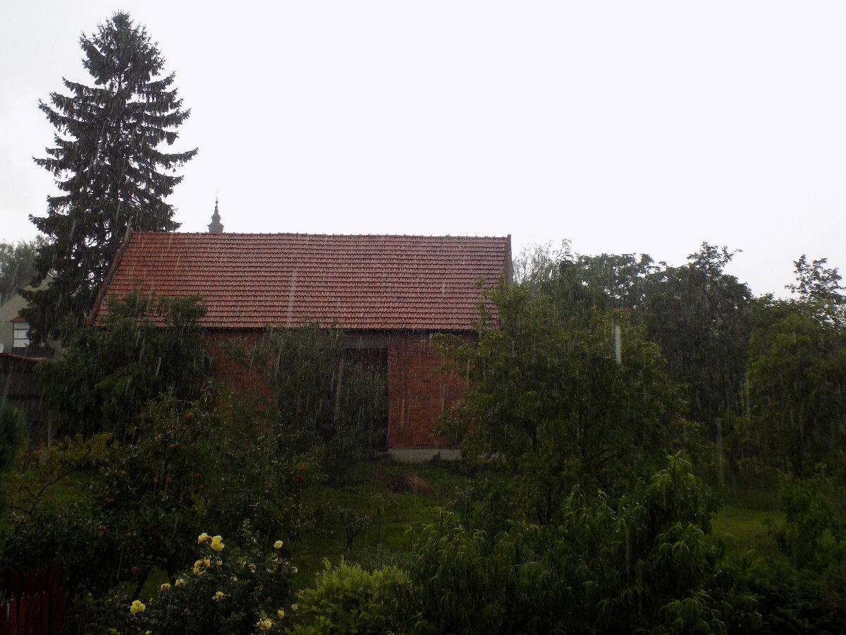 Kvasice