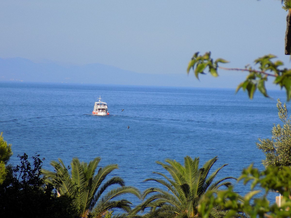 Podgora
