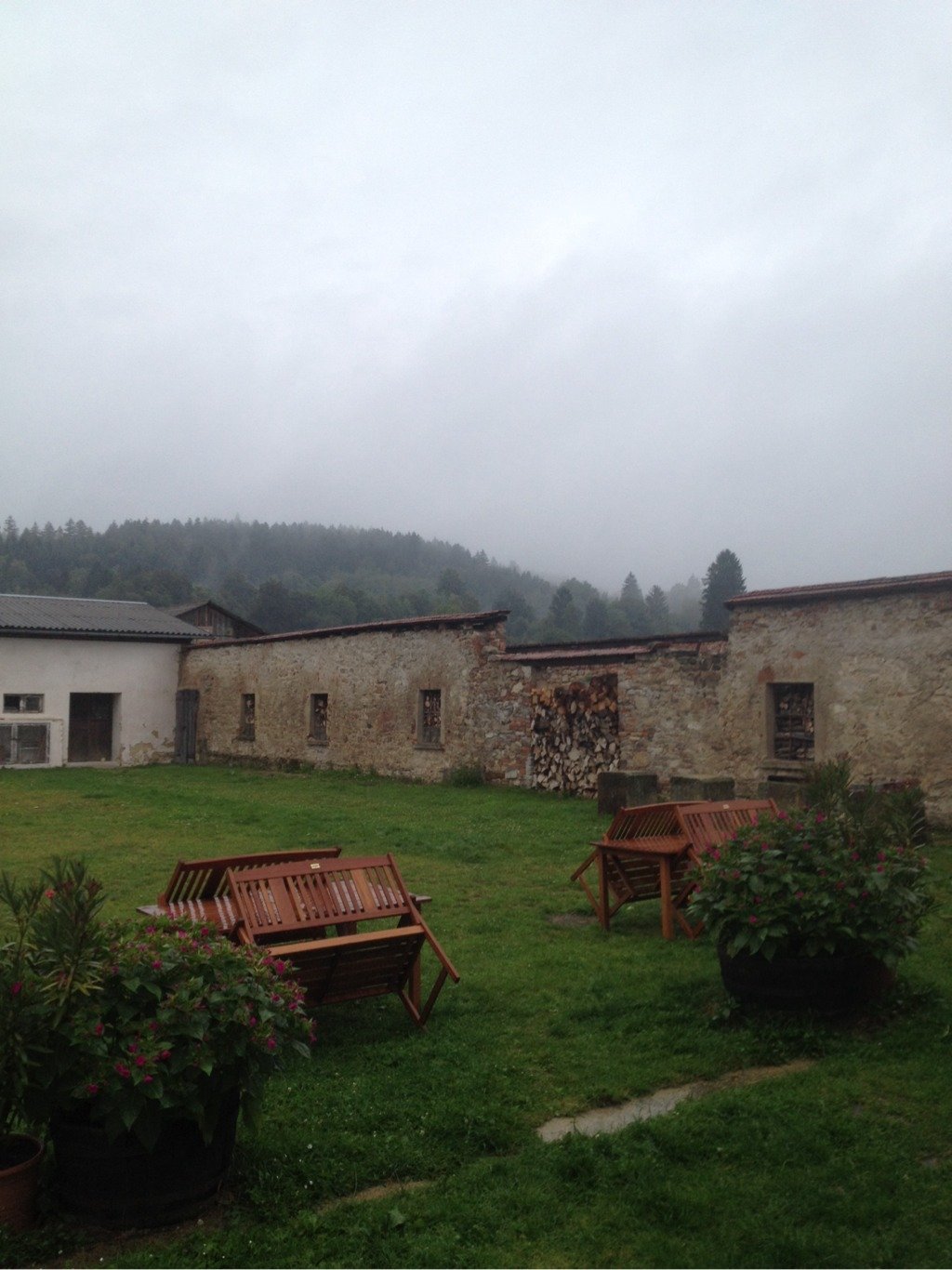 Borovná