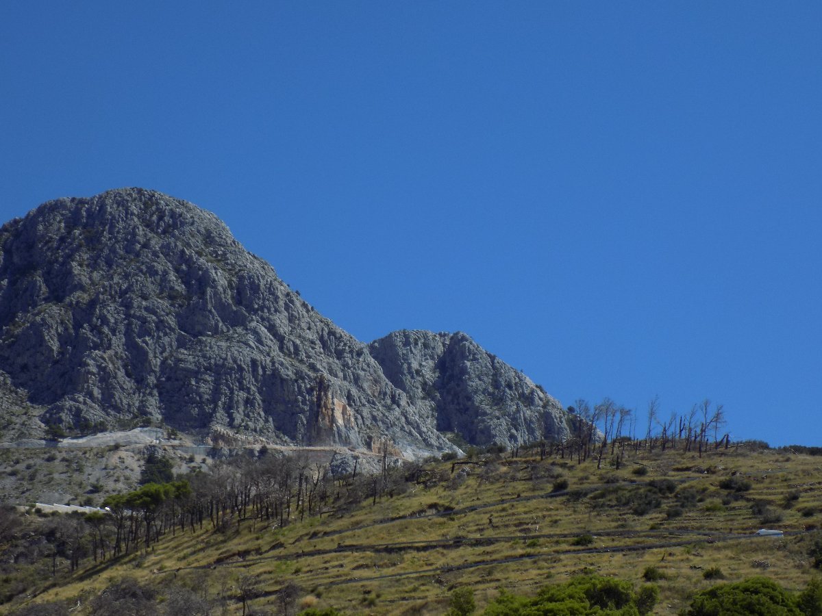 Podgora