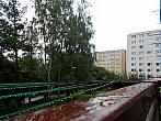 Borovina