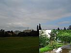 Borovina
