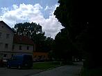 Borovina